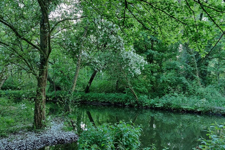 Bekijk foto 44 van Obrechtlaan 16