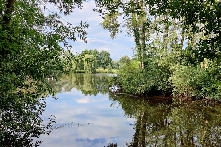 Bekijk foto 48 van Obrechtlaan 16