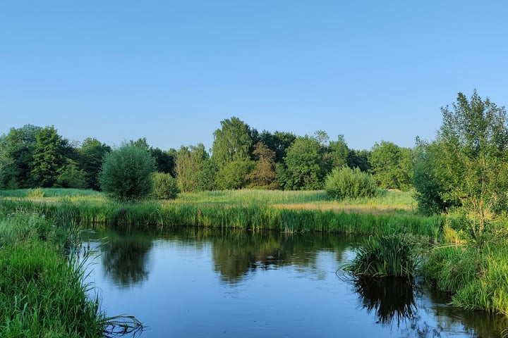 Bekijk foto 47 van Obrechtlaan 16