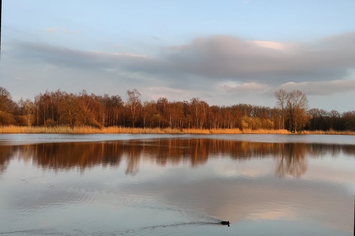 Bekijk foto 55 van Obrechtlaan 16