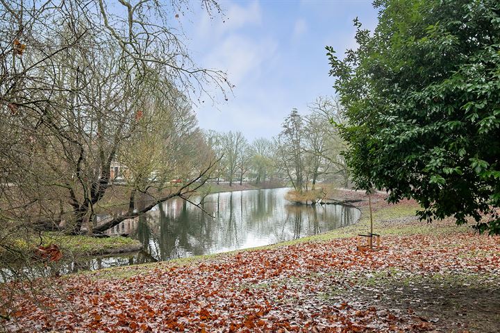 Bekijk foto 36 van Tuinbouwstraat 65