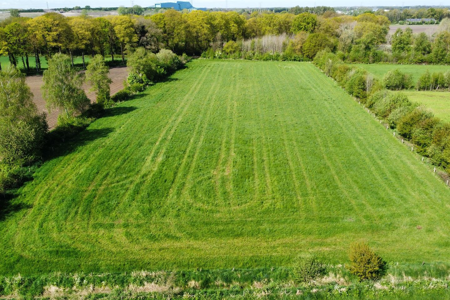 Bekijk foto 4 van Rougoorweg / Grote Veldweg