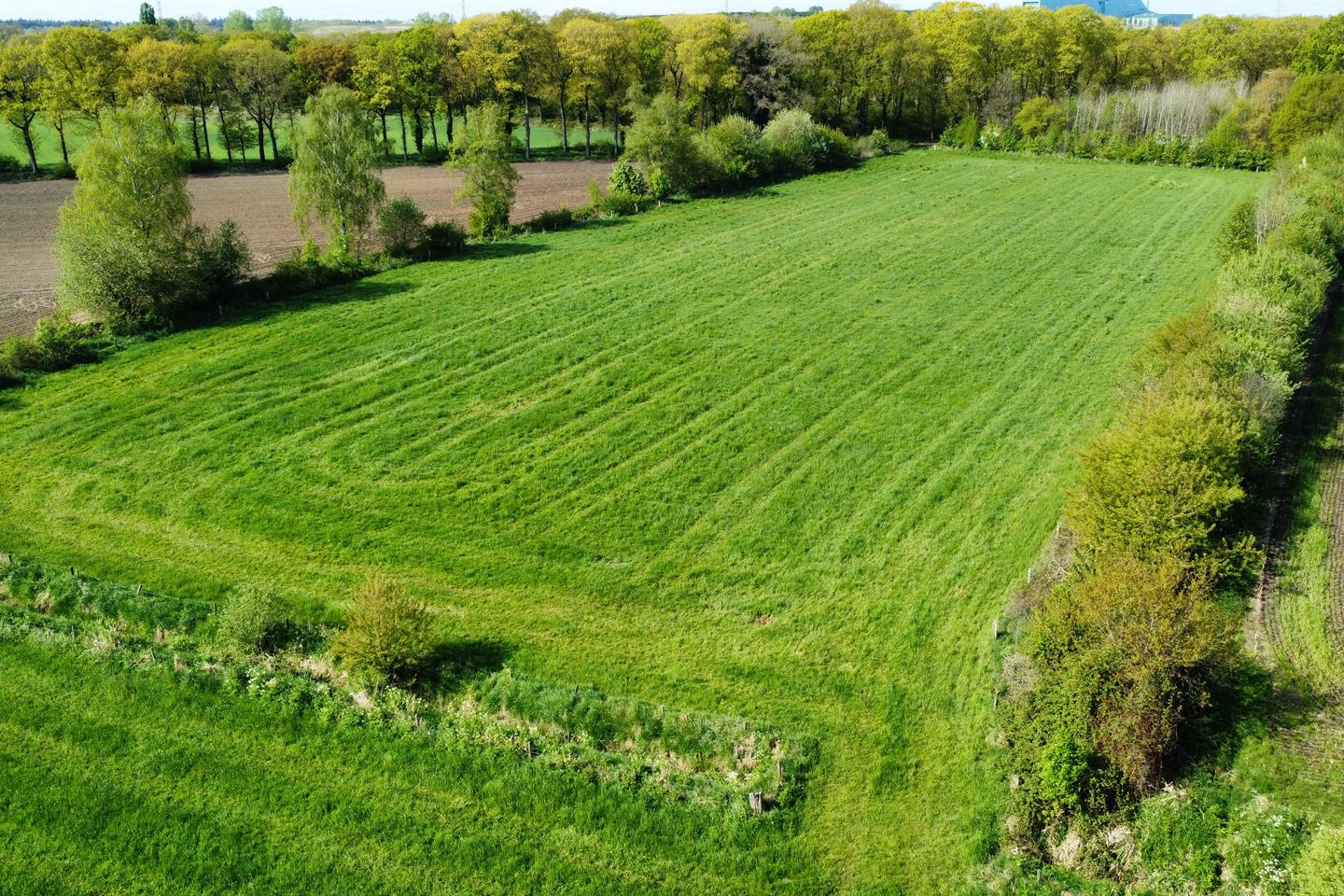 Bekijk foto 3 van Rougoorweg / Grote Veldweg