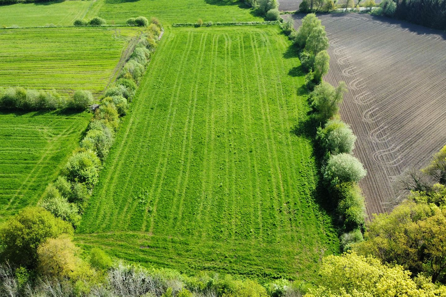 Bekijk foto 2 van Rougoorweg / Grote Veldweg