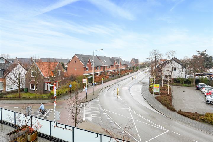 Bekijk foto 17 van Delftsestraatweg 138