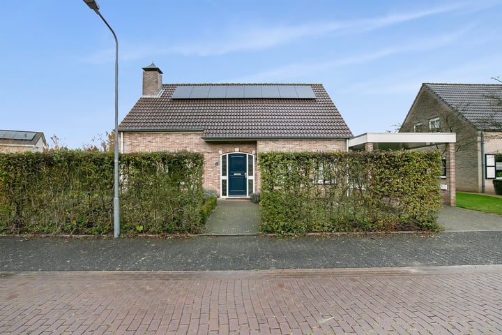 Foto 6 van Klaver 1
