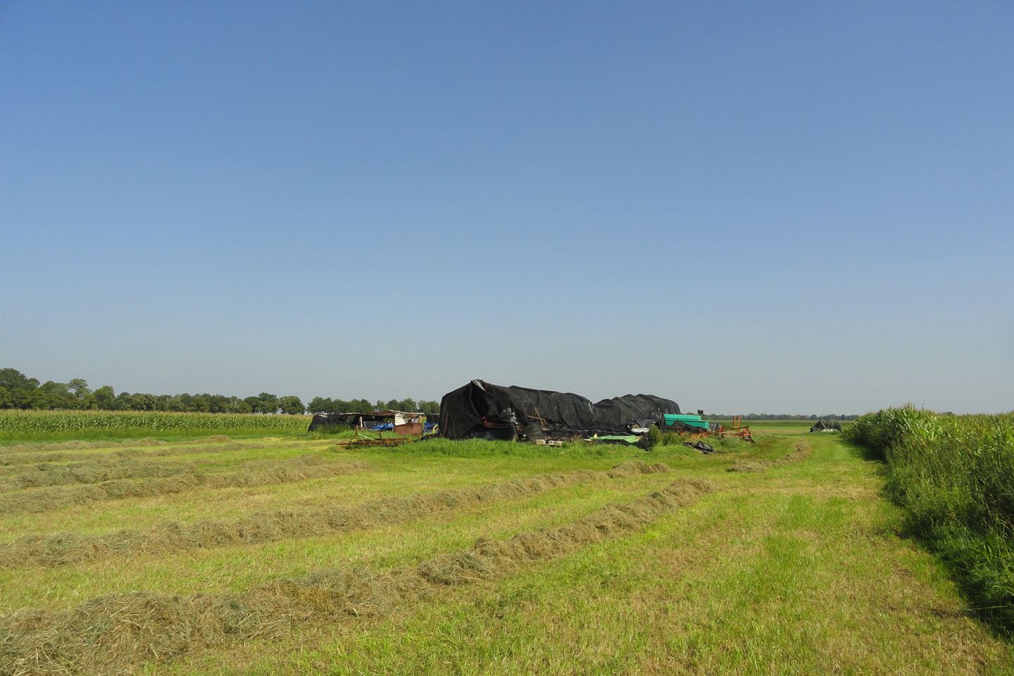 Bekijk foto 4 van Burg Ten Holteweg