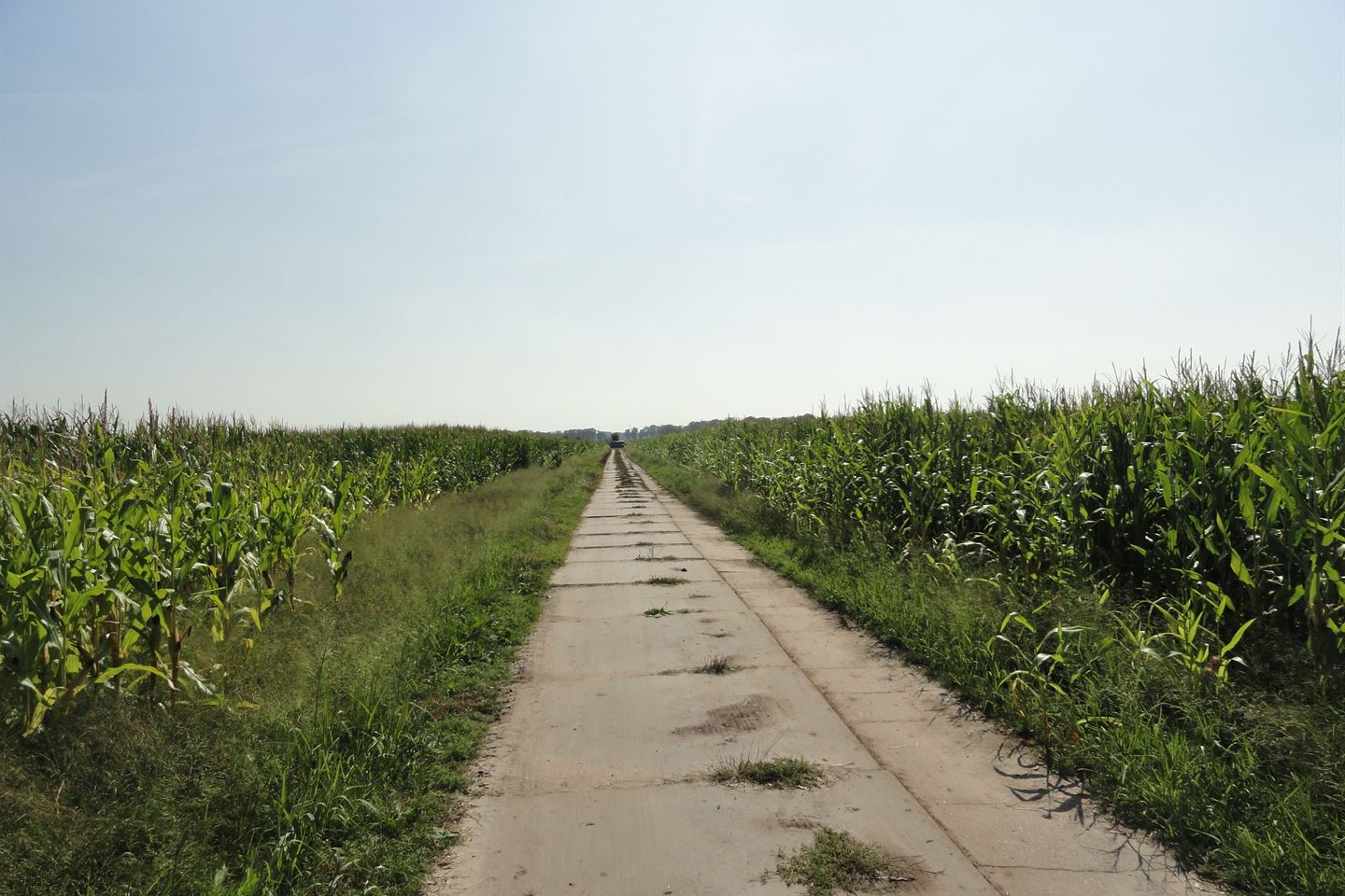 Bekijk foto 3 van Burg Ten Holteweg