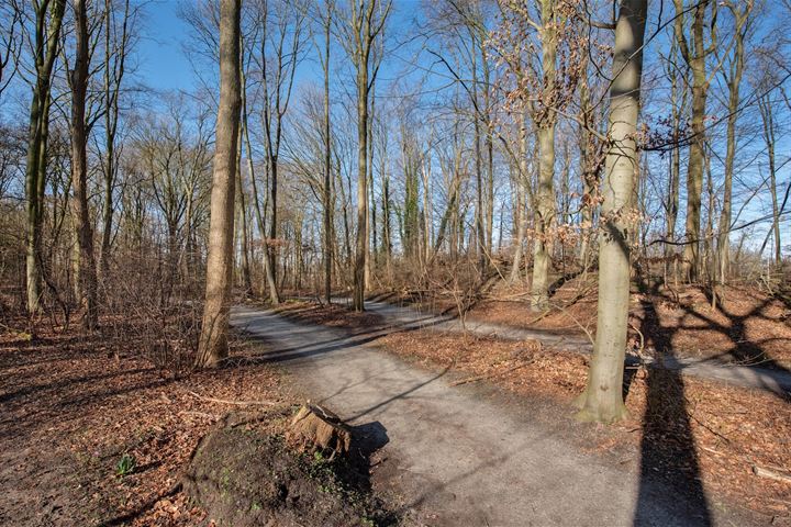 Bekijk foto 33 van Leidsestraatweg 15-217