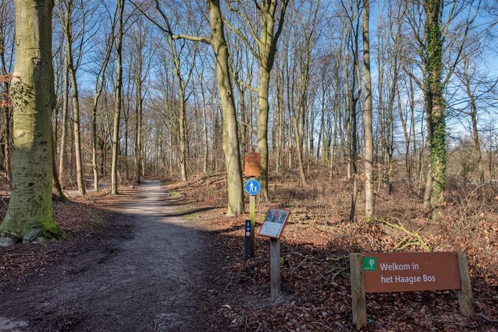 Bekijk foto 37 van Leidsestraatweg 15-217