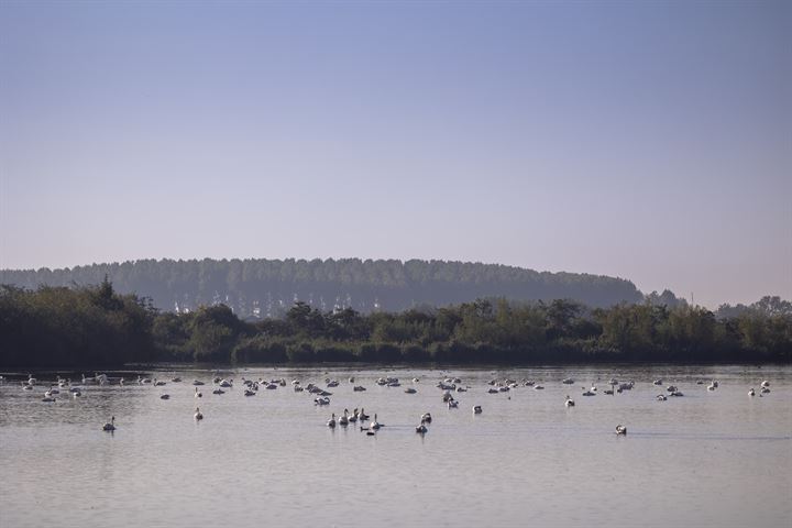 Bekijk foto 5 van Wevelsweg 9-1