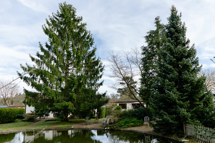 Foto 7 van Kerkendelweg 49-74