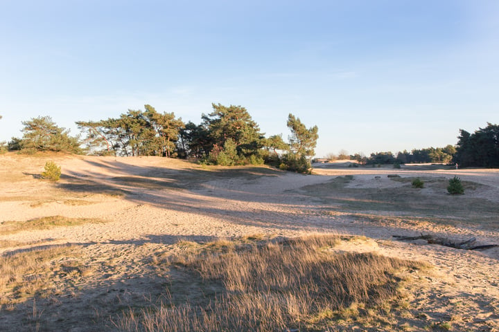 Bekijk foto 44 van Kerkendelweg 49-74