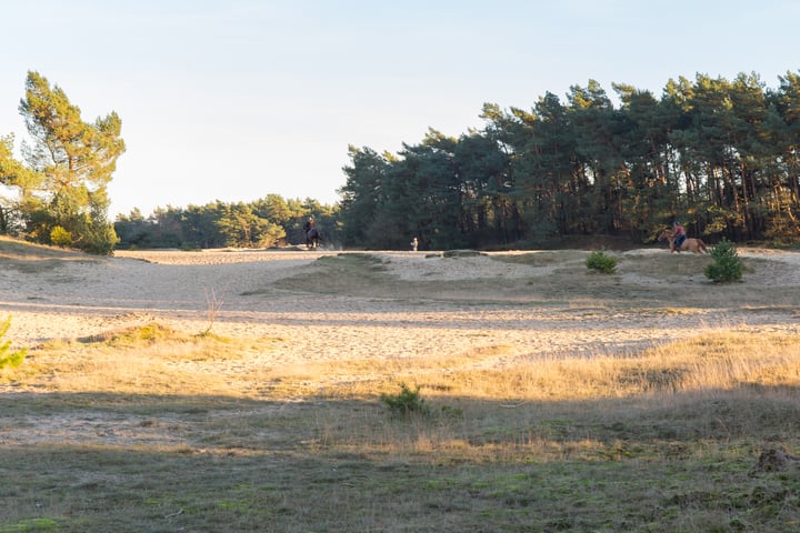 Bekijk foto 45 van Kerkendelweg 49-74