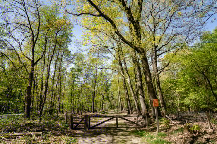 Foto 49 van Kerkendelweg 49-74