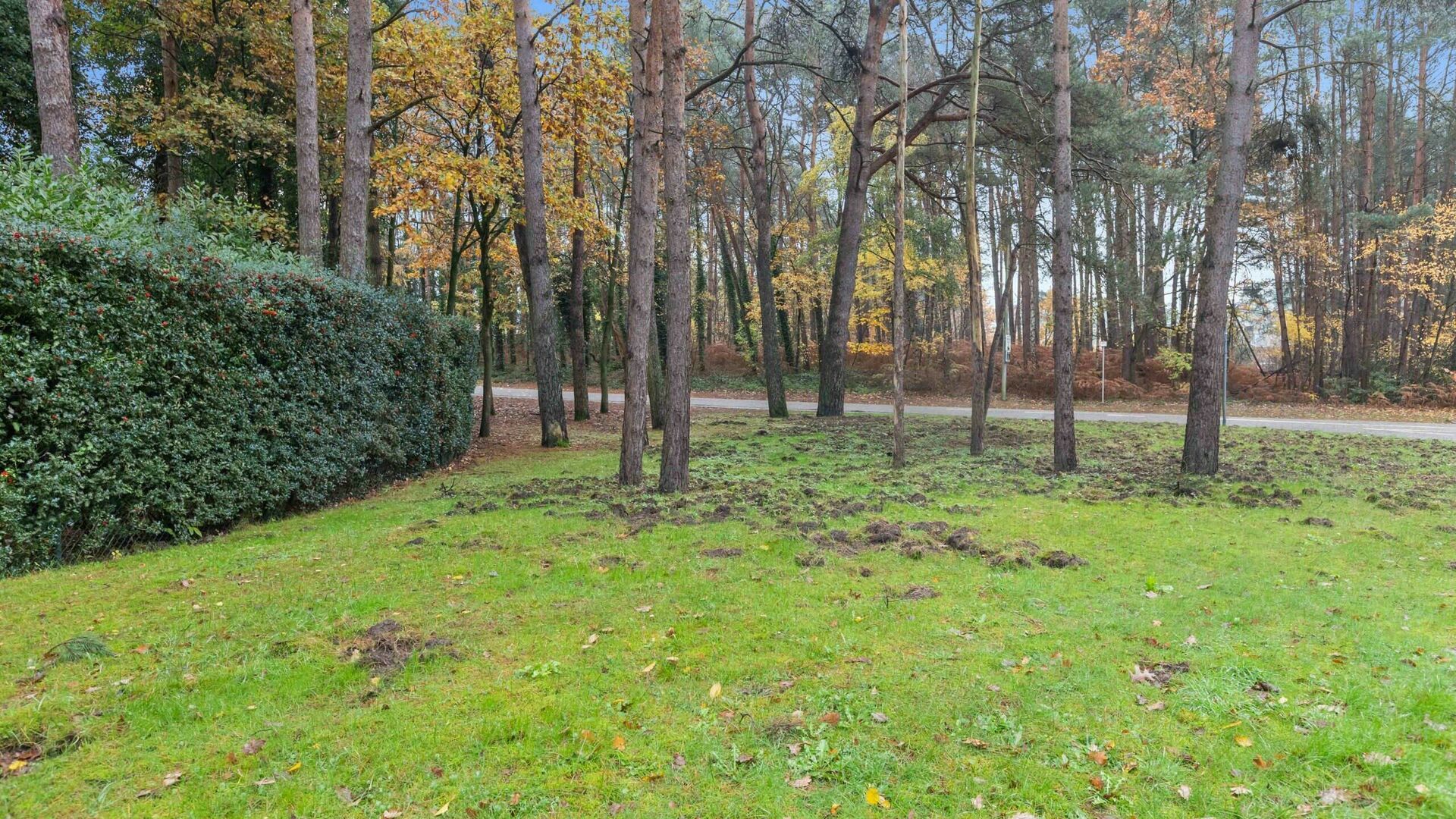 Photo 6 of Bouwgrond Geloeslaan