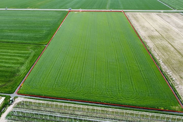 Bekijk foto 3 van Noord-Zuid