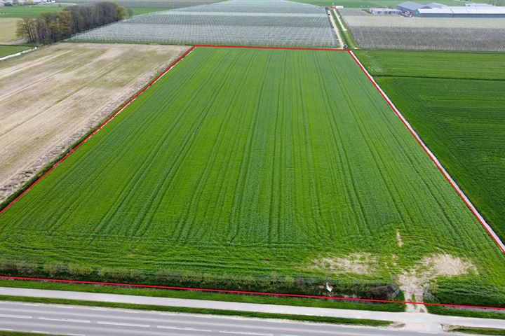 Bekijk foto 4 van Noord-Zuid