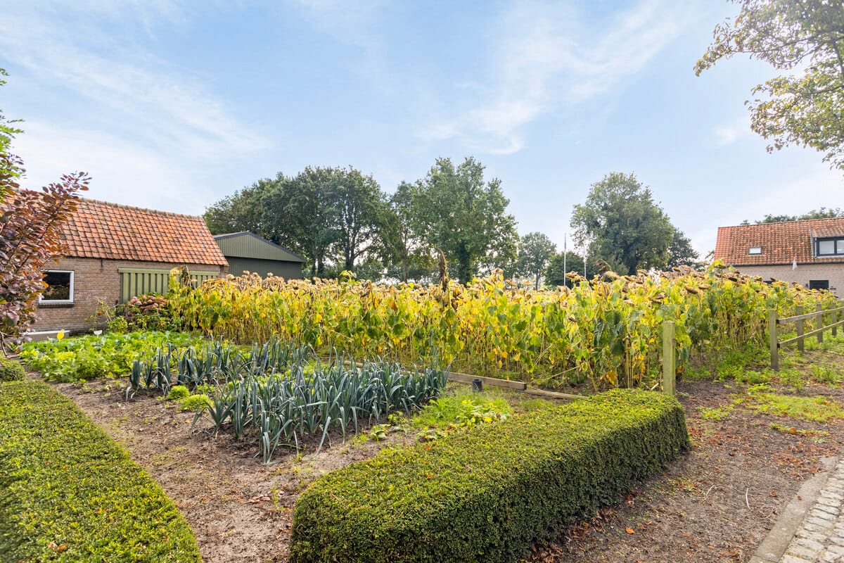 Photo 4 of Roeselaerestraat