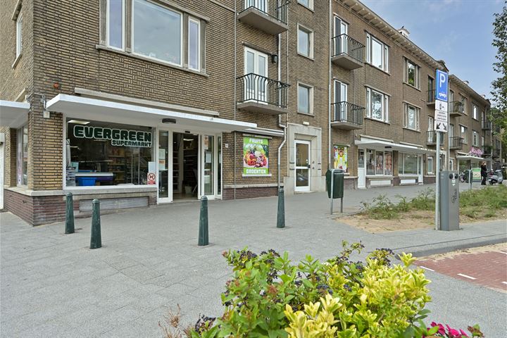 Bekijk foto 41 van Hoefbladlaan 107