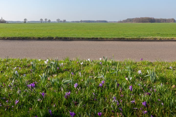 Bekijk foto 30 van Boijlerweg 102