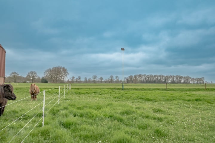 Bekijk foto 28 van Steenwijkerweg 32