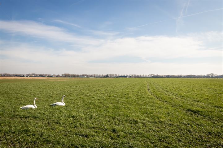 Bekijk foto 44 van Blokdijk 9