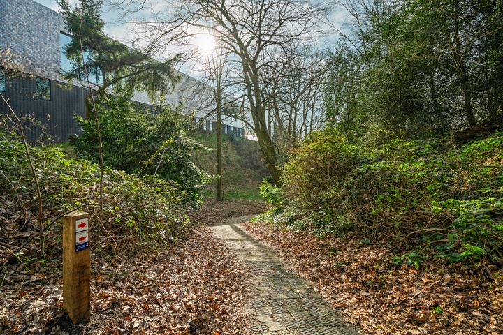 Bekijk foto 30 van Utrechtseweg 92