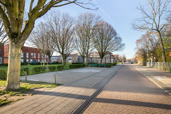 Bekijk foto 29 van Zuidvlietstraat 50