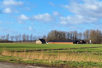 Bekijk foto's