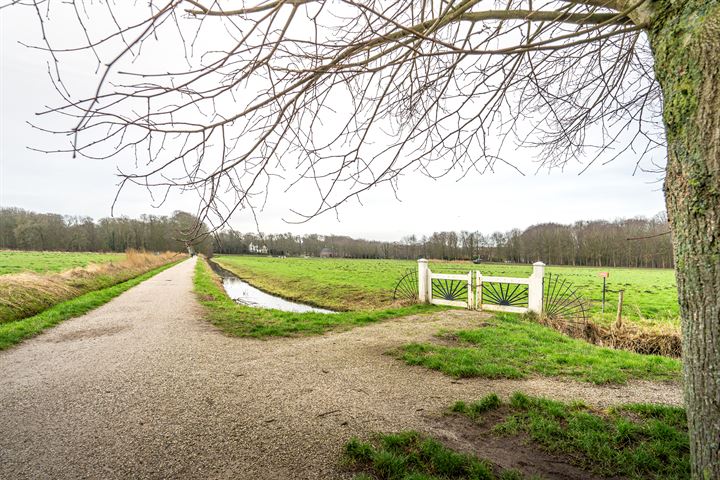 Bekijk foto 30 van De Ruijterweg 7