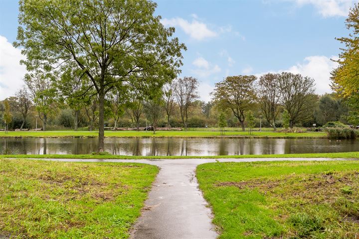 Bekijk foto 41 van Johan de Wittstraat 79