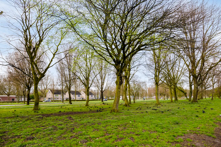 Bekijk foto 40 van Haydnstraat 312