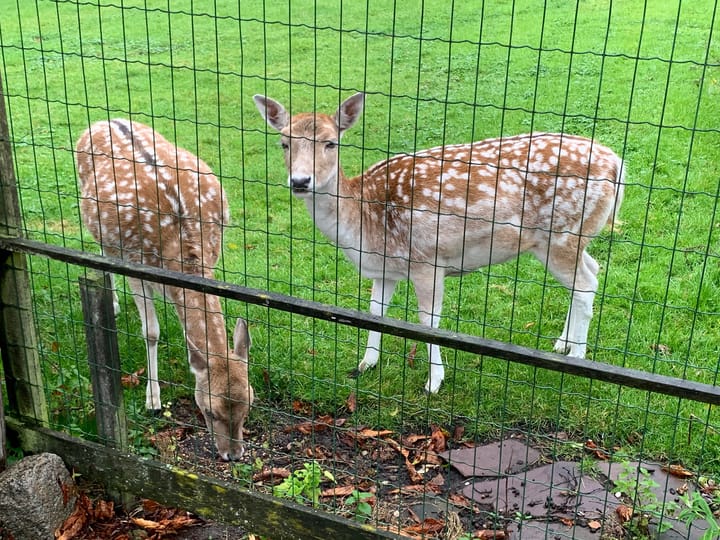 Foto 35 van Platteweg 14