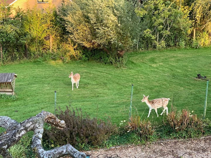 Foto 36 van Platteweg 14