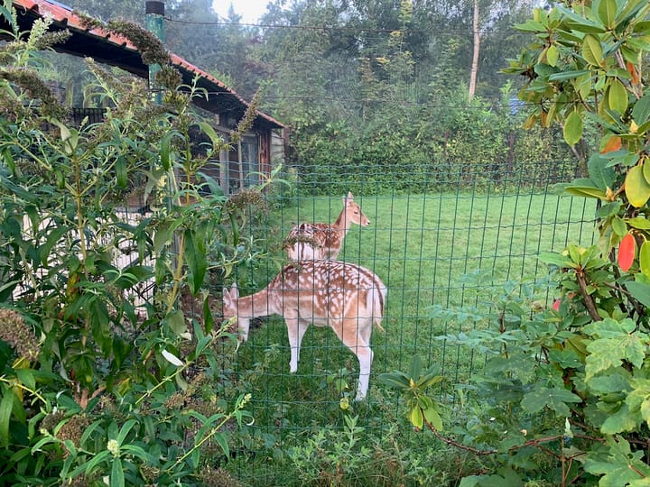 Foto 37 van Platteweg 14