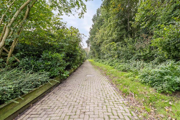 View photo 60 of Ringweg 34-A