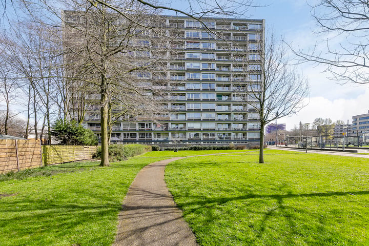 Bekijk foto 1 van Louis Raemaekersstraat 93