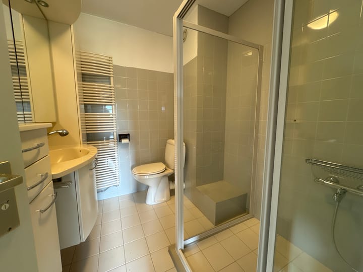 Photo 11 of Heinsiuslaan 17