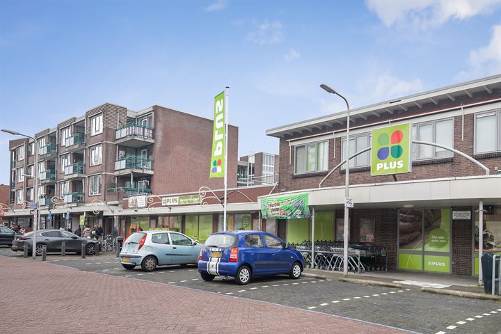 Bekijk foto 38 van Roemer Visscherstraat 12