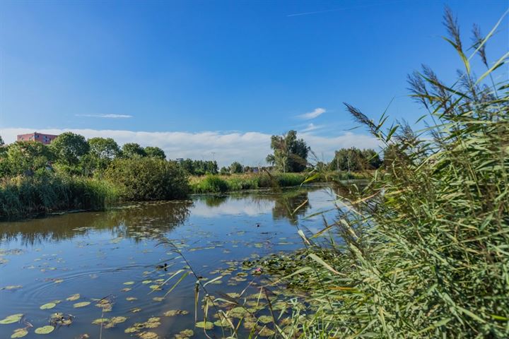 Bekijk foto 49 van Polderpeil 113