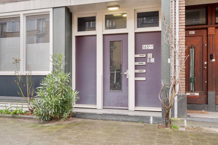 Bekijk foto 7 van Willem Buytewechstraat 163-B