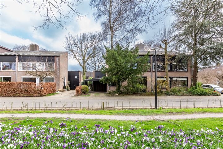 Bekijk foto 38 van Geelgorsstraat 29