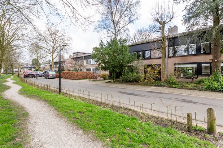 Bekijk foto 40 van Geelgorsstraat 29