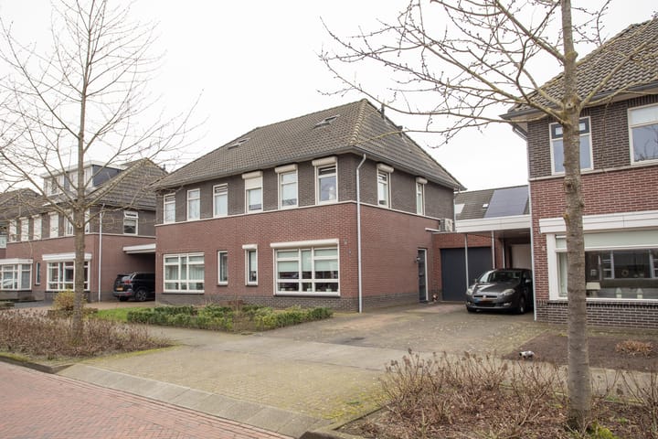 undefined main image