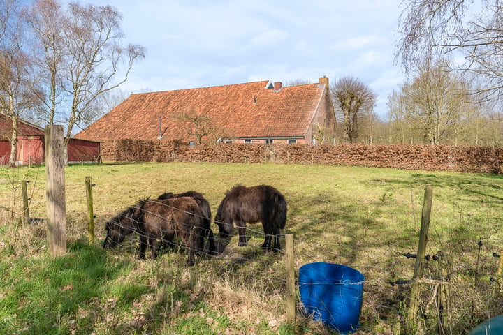 Bekijk foto 4 van Wessinghuizerweg 11-A