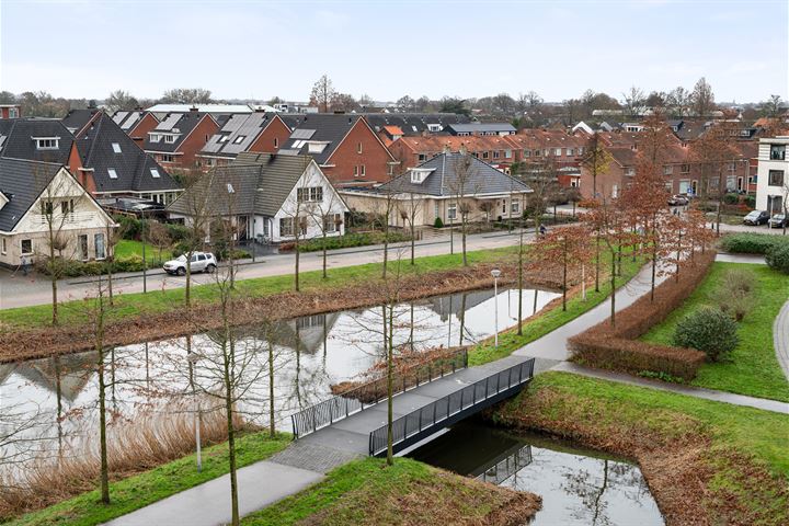 Bekijk foto 11 van Koninginnetuin 31