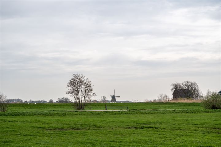 Bekijk foto 30 van Abdij van Rijnsburglaan 19