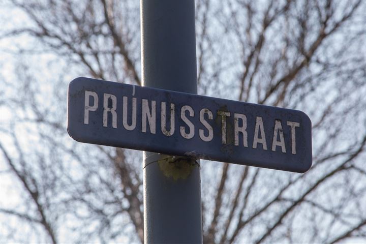 Bekijk foto 35 van Prunusstraat 19