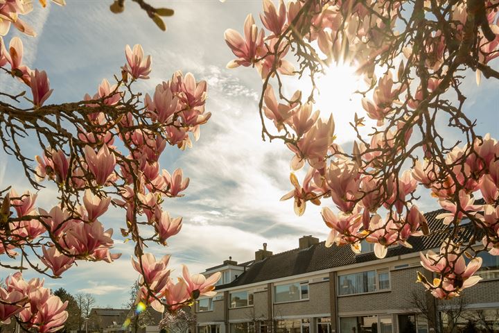 Bekijk foto 32 van Van Wassenaer Obdamlaan 19